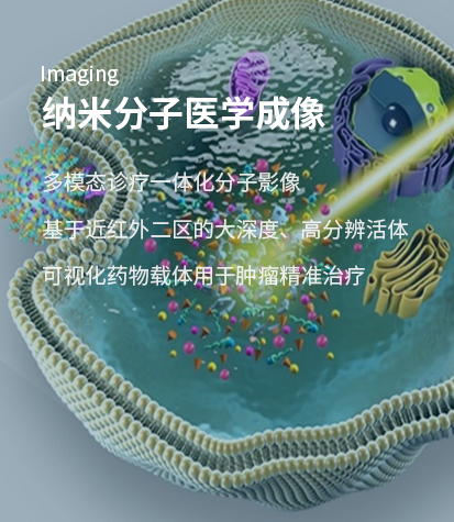 �{�׷����t�W����